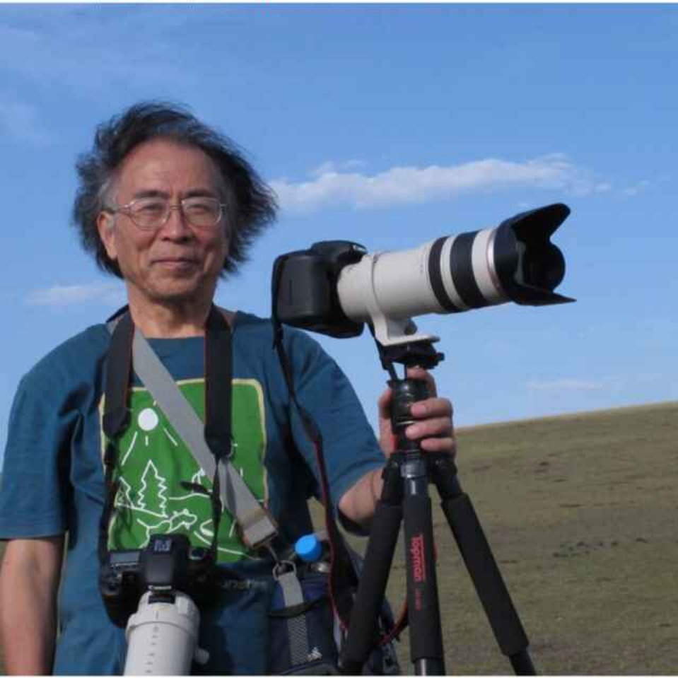 资深会员郭良坤