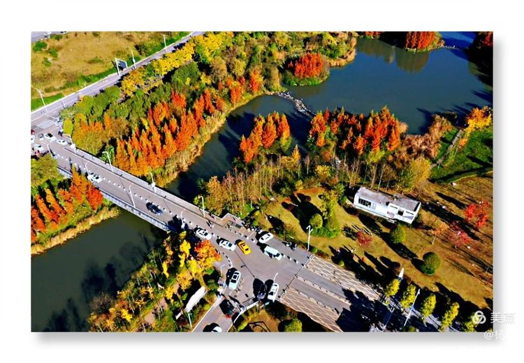 摄影语言写春秋