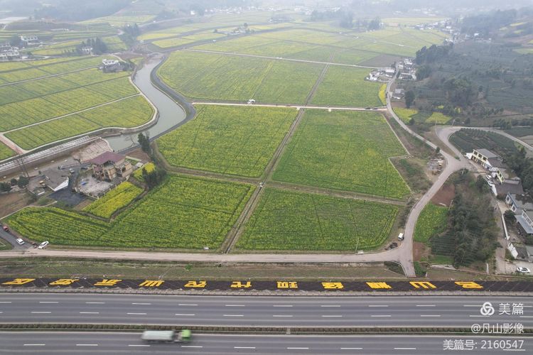 万亩油菜花盛放