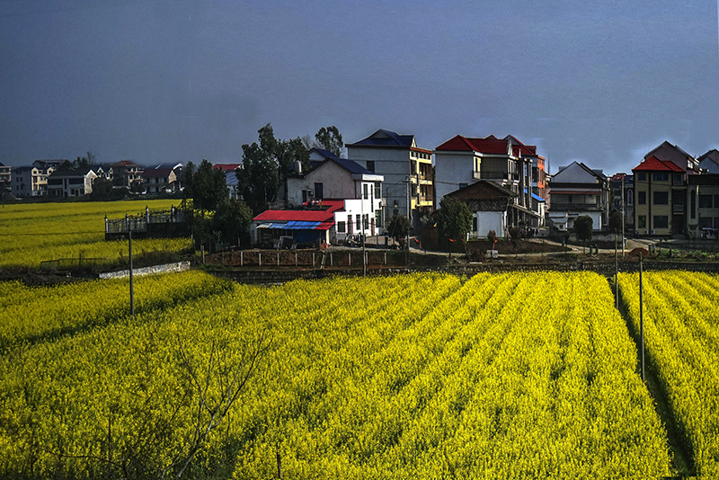 汨罗江畔的新时代新农村缩影