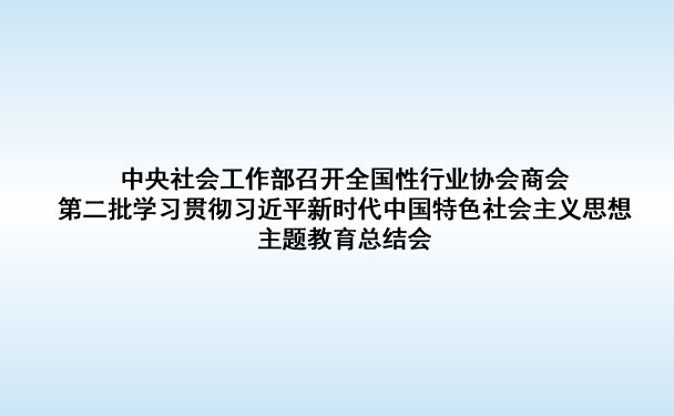 中央社会工作部召开全国性行业协会商会第二批学习贯彻习近平新时代中国特色社会主义思想主题教育总结会