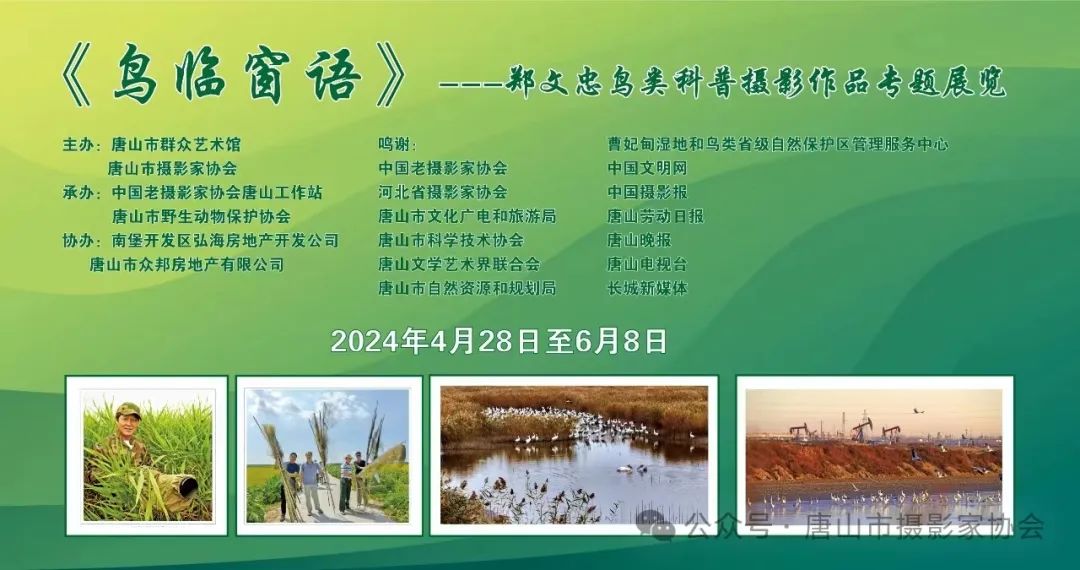 “鸟临窗语——郑文忠鸟类摄影作品专题科普展览”在唐山群艺馆开幕